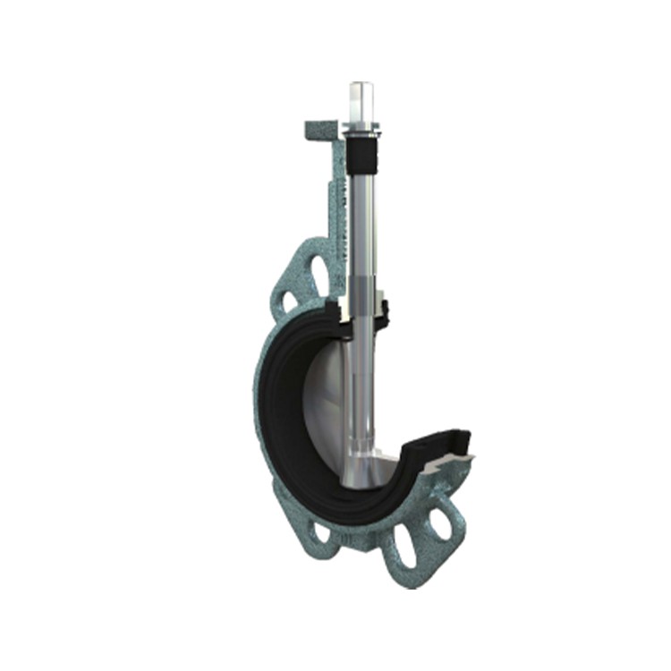 Flange Type Butterfly Valve